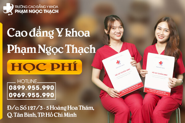 Cao-dang-Y-Khoa-Pham-Ngoc-Thach-mien-hoc-phi-nam-2024